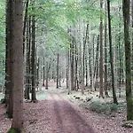 Appartement Mohrs Mehren (Vulkaneifel)