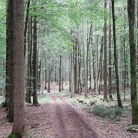 Lägenhet Mohrs Mehren (Vulkaneifel)