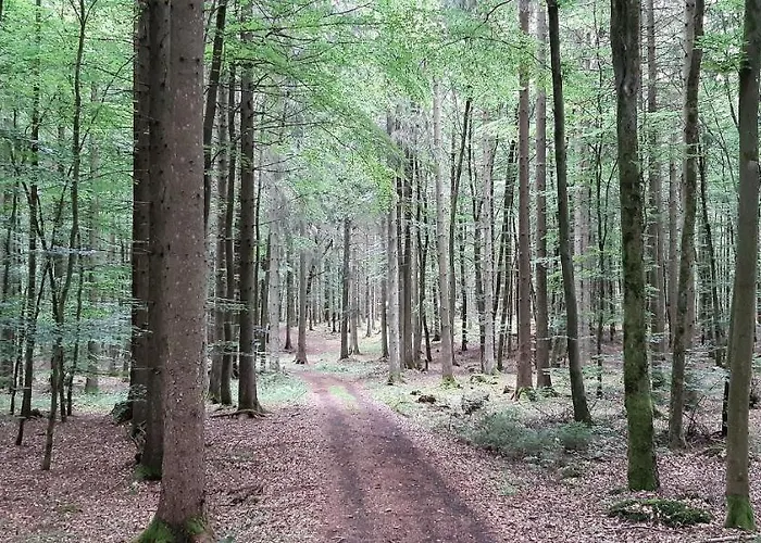 Апартаменты Mohrs Mehren (Vulkaneifel)